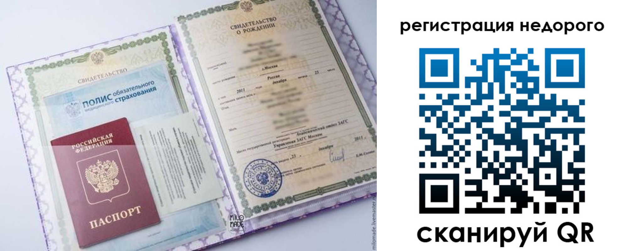 прописка ребенка в Звенигово
